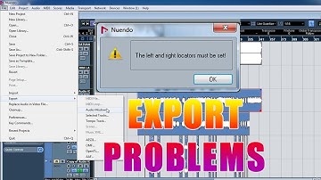 The Left And Right Locators Must Be Set || Basic Neundo Class Hindi || Export Problems Neundo 4