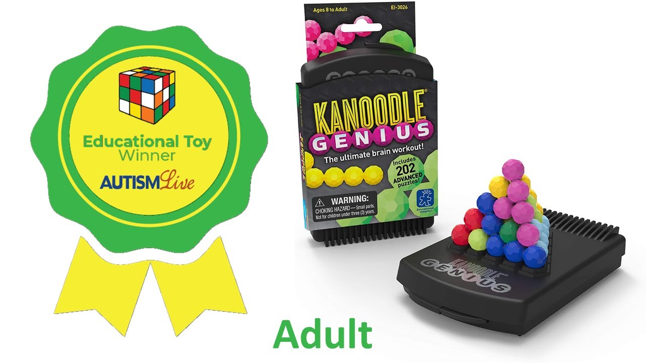 Kanoodle: A Fun Visual Game: Toys for Autism