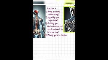 Learn about backbone