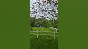 Displaying a Concrete Grave Liner #burial #cemetery #funeral #cemetery #funeralceremony #Grave