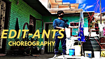 Edit-ants choreography (DNP)