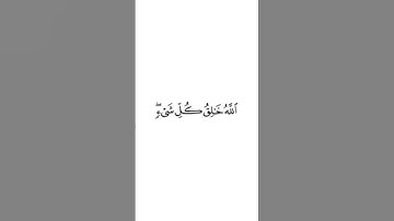 أواخر سورة الزمر #يونس_اسويلص