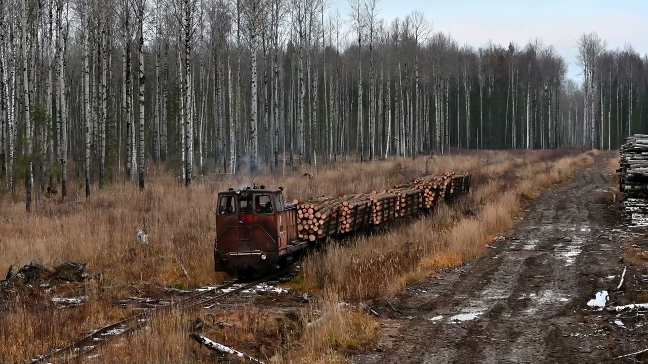 УЖД Березовского ЛПХ, Кировская область