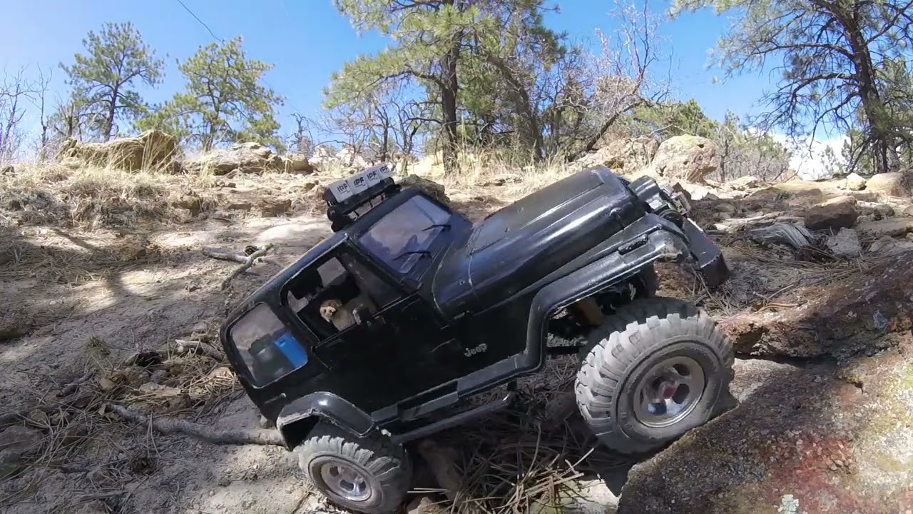 Traxxas TRX-4 w/ Sunset Bronco Body & MST-CMX w/ Tamiya YJ Wrangler Body | Trailing Palmer Park, CO