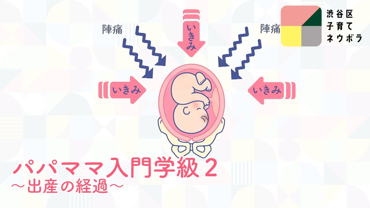 パパママ入門学級２〜出産の経過と準備〜【渋谷区子育てネウボラ】