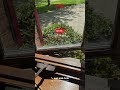 Wood Sash Repair in Solon, OH | Restoring Classic Windows with Expert Precision