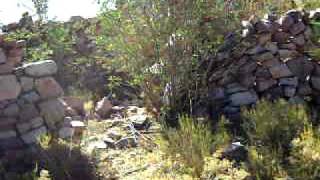 Casa abandonada en Rodero