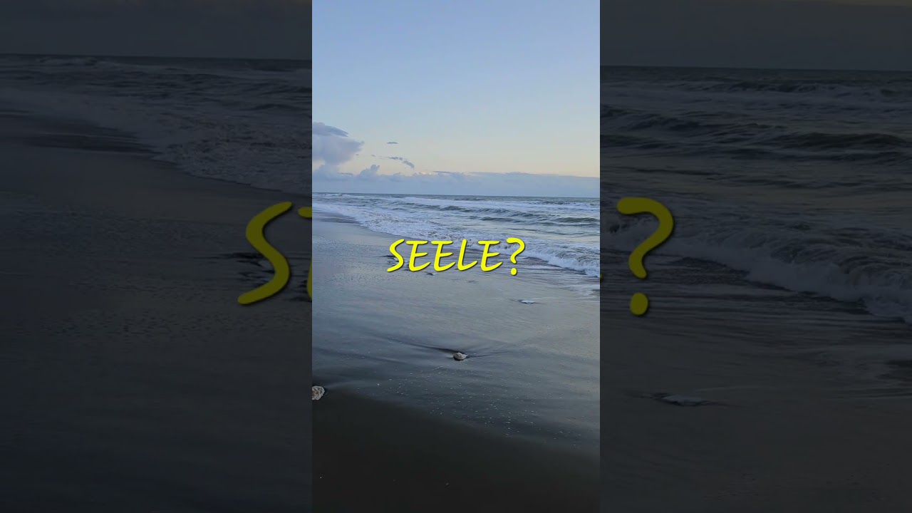 YouTube player