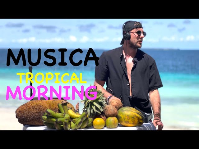 MUSICA TROPICAL MORNING CHILL DEEP HOUSE MIX/ MELODIC RELAX SPIAGGIA COCKTAIL BaobabZanzibar class=