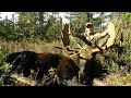 Clarke Brothers moose hunt in Newfoundland