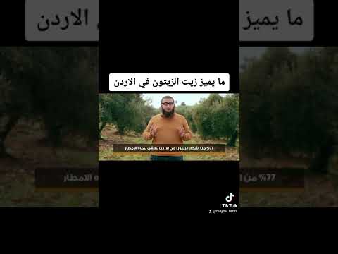 ما يميز زيت الزيتون في الاردن مزرعة المجدل زيت زيتون بكر ممتاز منتجات طبيعية