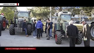 Open day 2016 del Consorzio agrario dell’Umbria [UMBRIA NEWS]