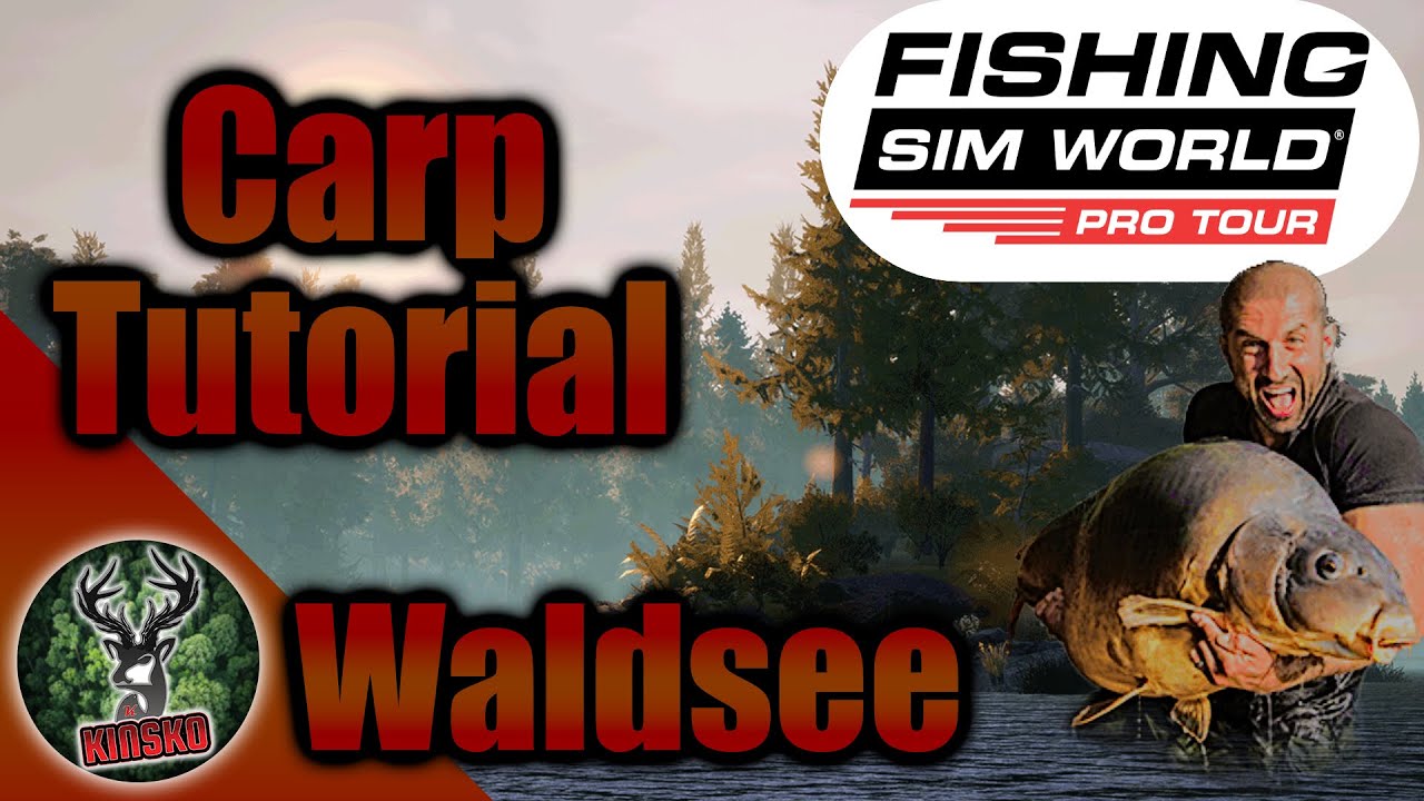 How To Catch More Carp In Fishing Sim World Pro Tour 2020 