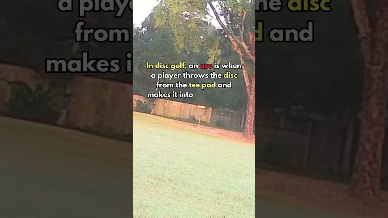 Disc Golf's RAREST Moment Caught on Camera