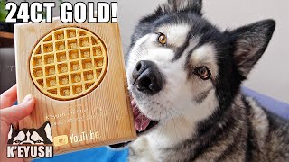 Husky Tries To Eat The 24CT GOLD Waffle Playbutton I Made For Him!