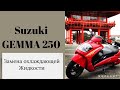 Suzuki Gemma 250 Замена Антифриза