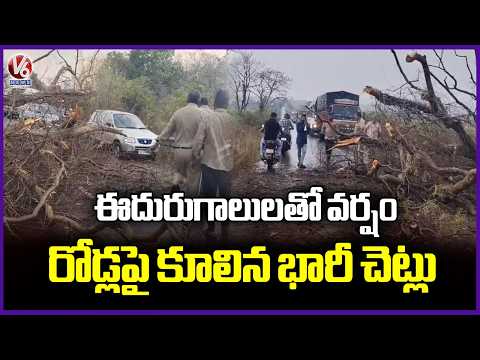Heavy Rain and Strong Winds Hits Mulugu, Trees Fallen Causing Massive Traffic Jam  | V6 News - V6NEWSTELUGU