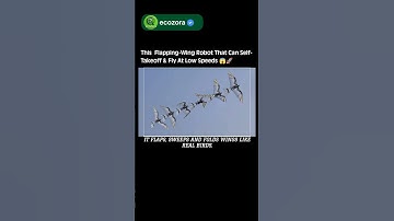 RoboFalcon 2.0: Bird-Like Robot Takes Off On Its Own 🦅🤖 #Robotics #AI #Innovation #Future