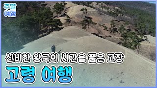 신비한 왕국의 시간을 품은 고장👑, 고령 역사 여행 [테마기행길]