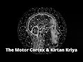 THE MOTOR CORTEX & KIRTAN KRIYA | PART 1