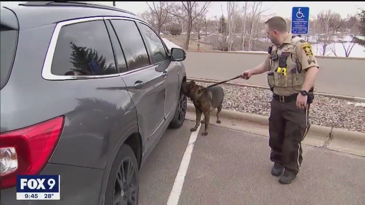K9 officer hanging up leash I KMSP FOX 9 - YouTube