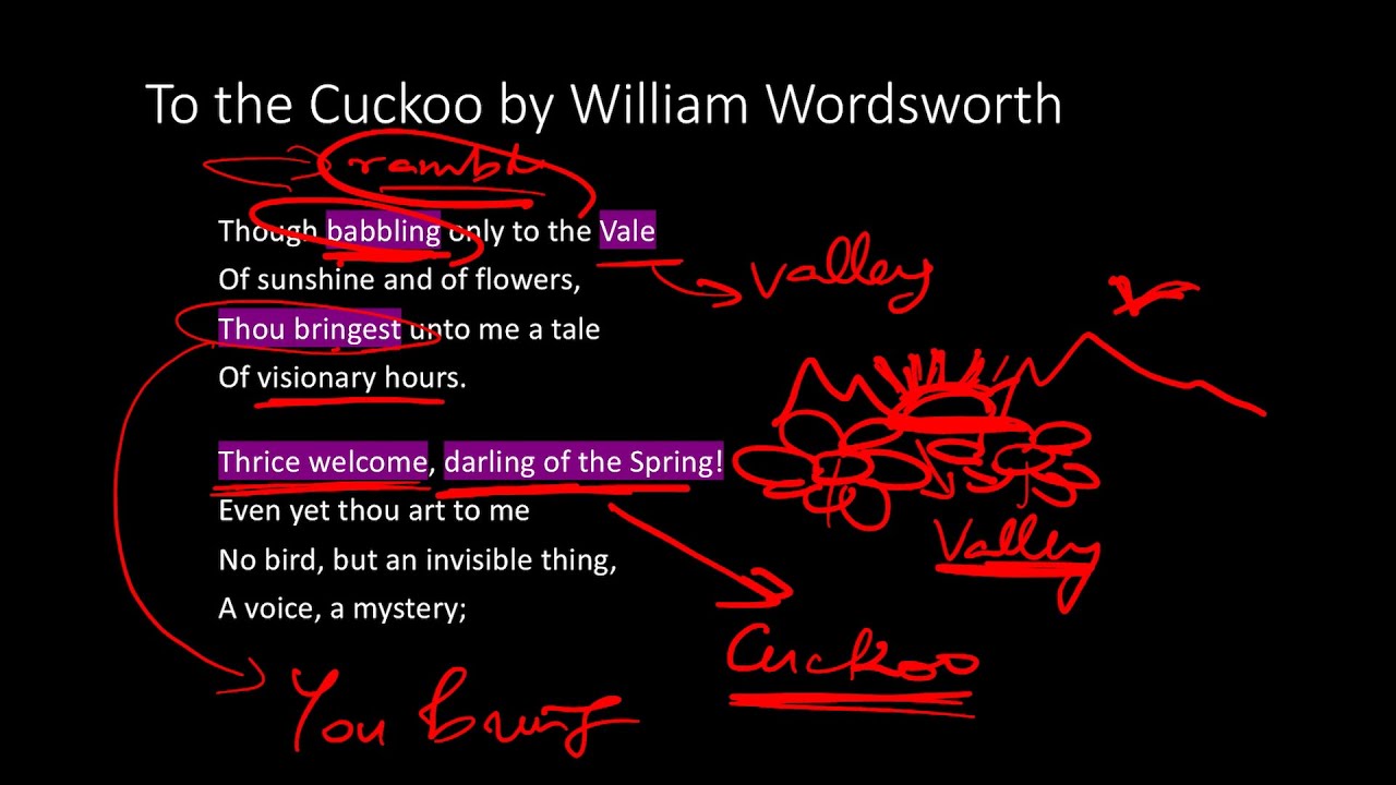 To the Cuckoo by Wordsworth - Summary and Line-by-Line Analysis (ft. My Rowdy Rooster)