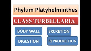 platyhelminthes természetes élőhely hogyan lehet eltávolítani a szubkután parazitákat