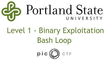 PicoCTF 2017 - Bash Loop Walkthrough