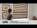 Window Blinds- Illusions Shades by Budget Blinds Tampa