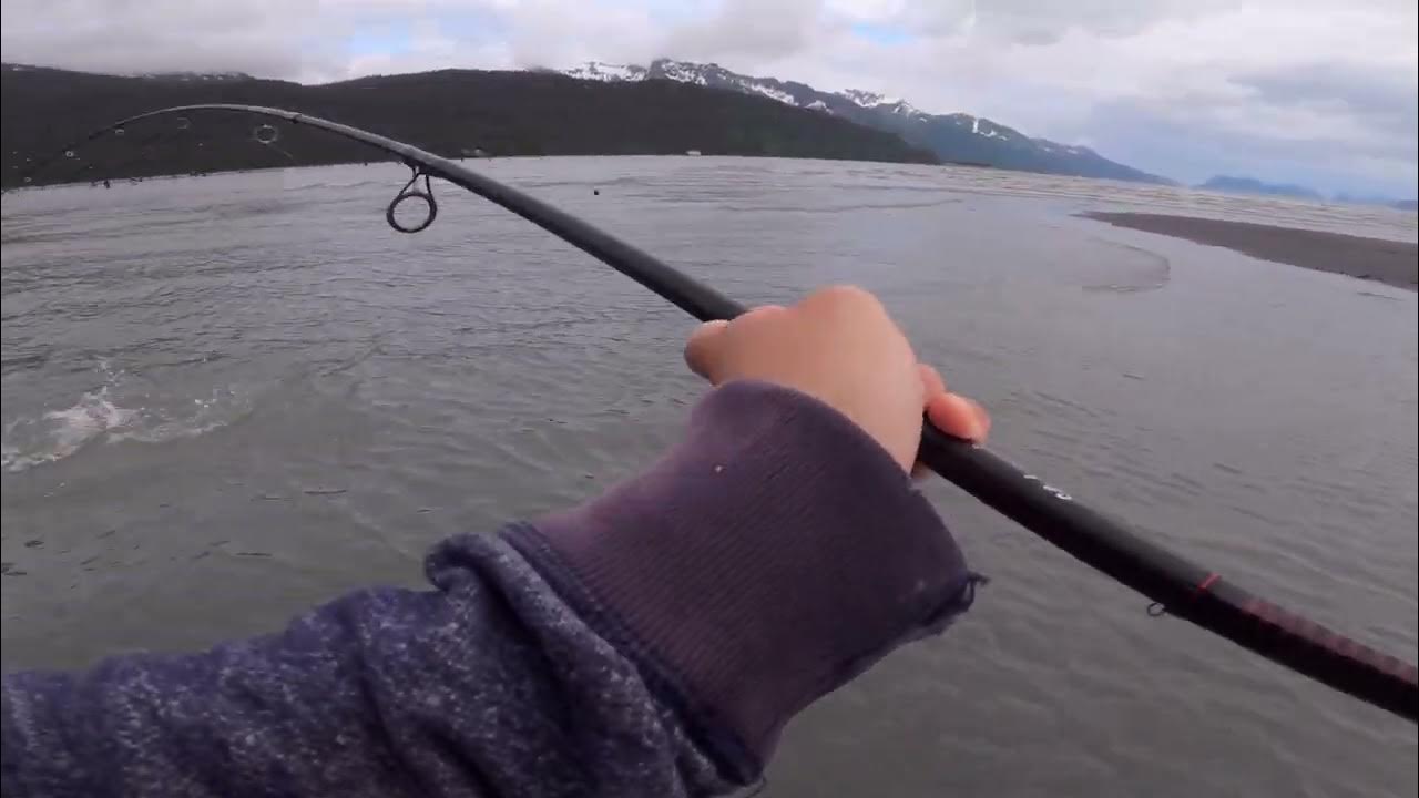 Alaska Seward, Salmon snagging back to back! YouTube