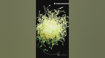 Einstein Just Saw ChatGPT For The First Time 😨