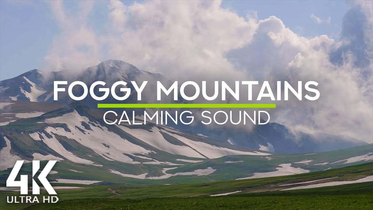 8 HRS of Relaxing Bird Songs and Crickets Sounds - 4K Fog in the Mountains of North Caucasus  Russia