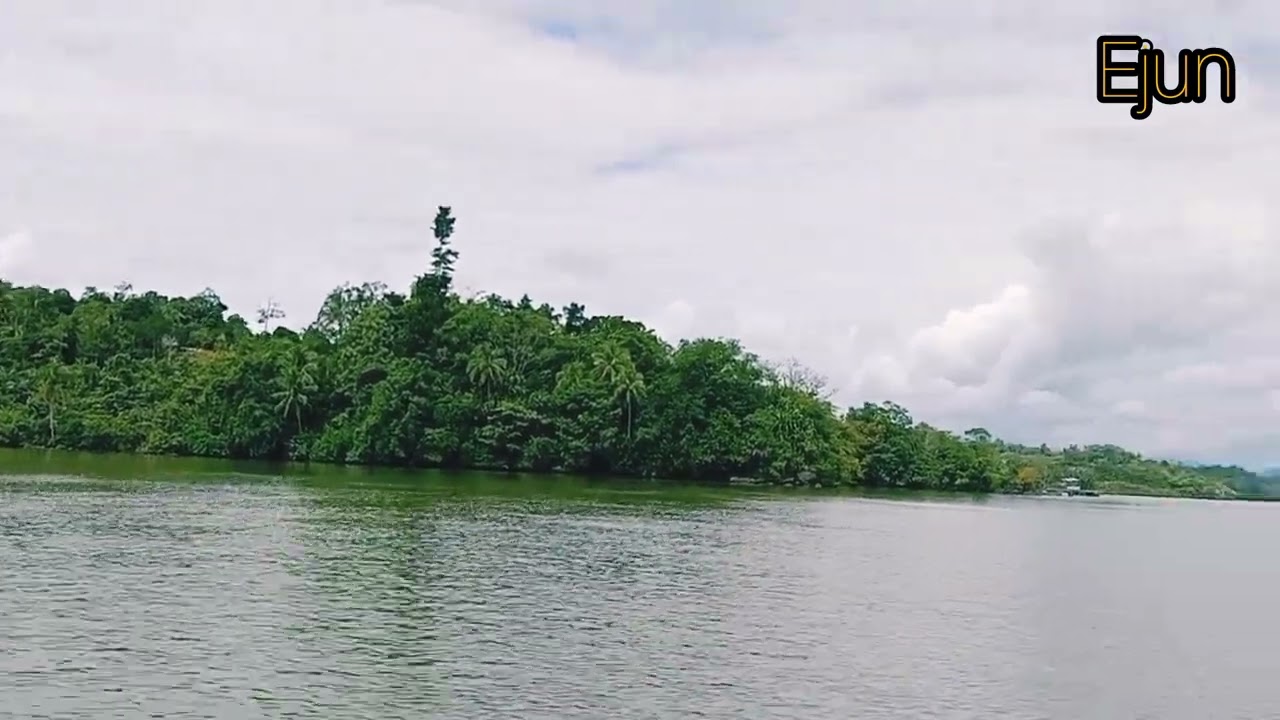 Teluk Arguni bayeda