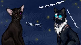 В первые встретила убийцу в ВТ ~ Catwar