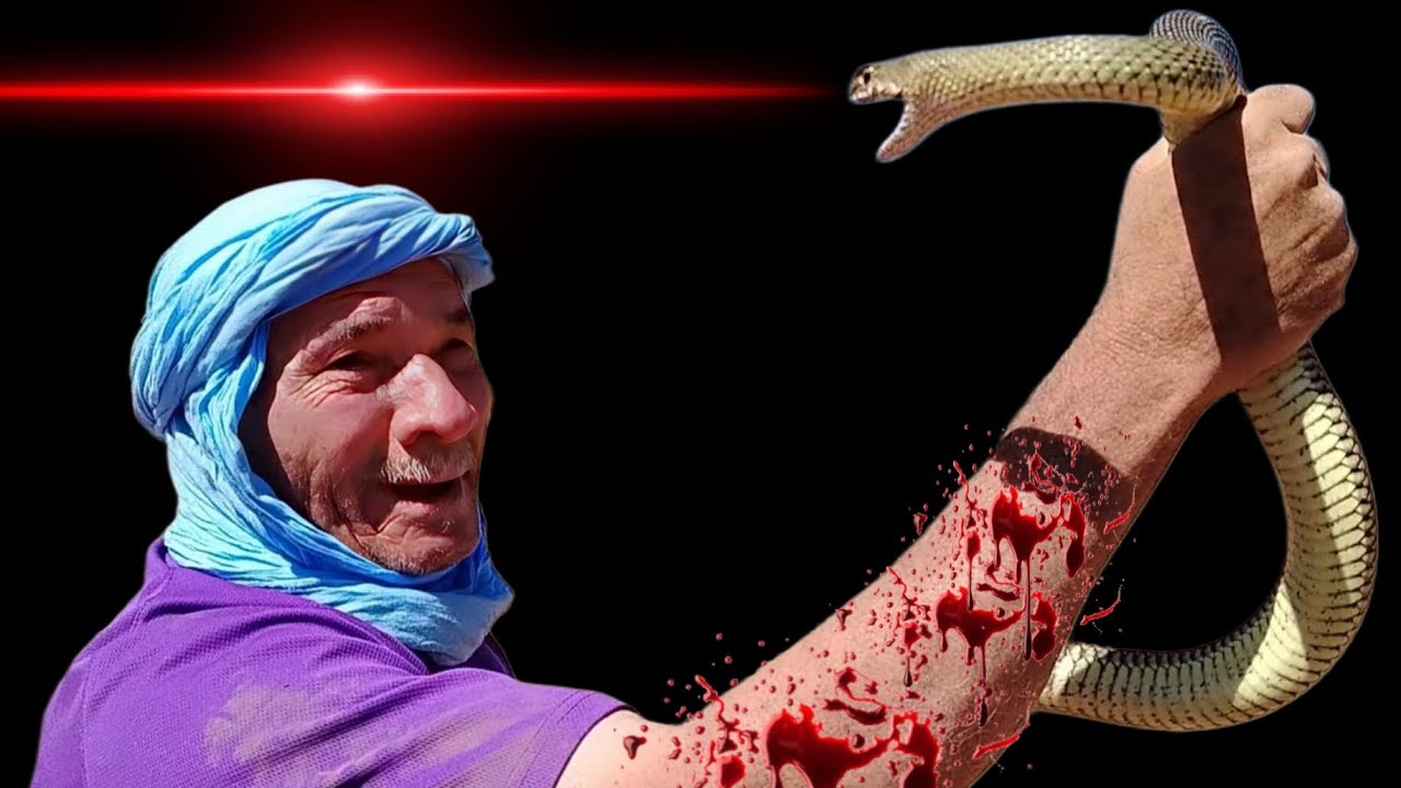 الدم ينزيف....والافعى تحاول الهروب من قبضة الحديد