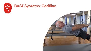 BASI Systems: Cadillac