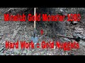 Minelab Gold Monster 1000 a Hapless Tortoise and Gold Nuggets