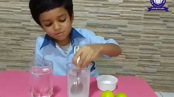 Why does a lemon float in saltwater? experiment by Mst. Yug Bhavsar (Std-1)