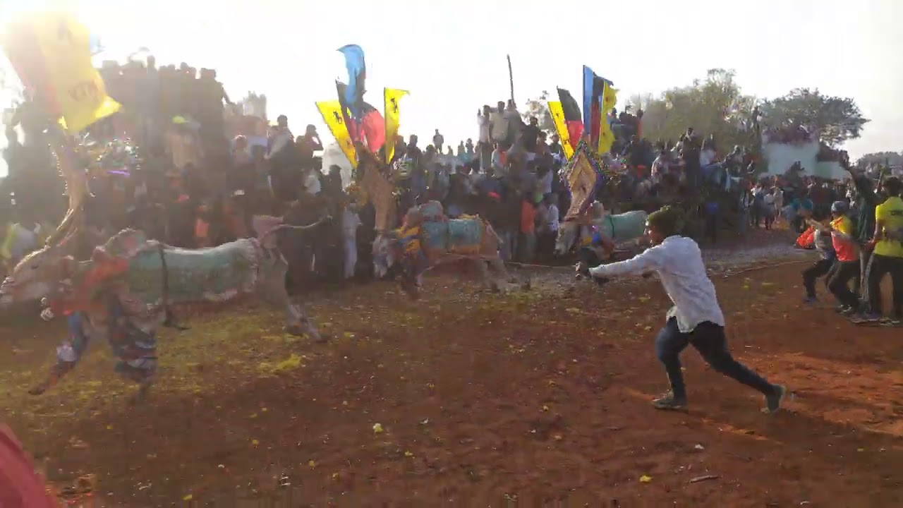 VANAMANGALAM VTN BULLS MASS PERFORMANCE 🥳 2022