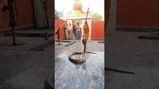 “नागिन को मारने दौड़ी बुढ़िया 😱,आखिरी सेकेंड में बचा ली सांप की जान #ytshorts #shorts #viral