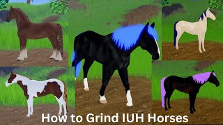 How to IUH Horse Hunt! - Wild Horse Islands