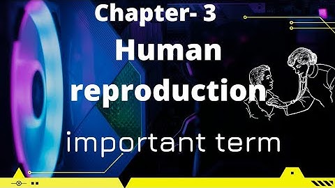 Human Reproduction class 12 Biology | All Important Term |One Shot Revision| NCERT | #Biology|#NEET