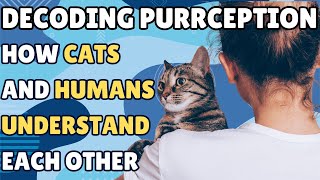 Decoding Purrception: How Cats and Humans Understand Each Other