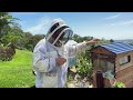 How does the Flow Hive work?