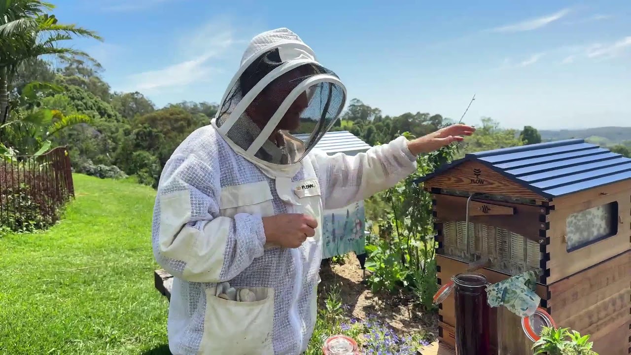 How does the Flow Hive work?