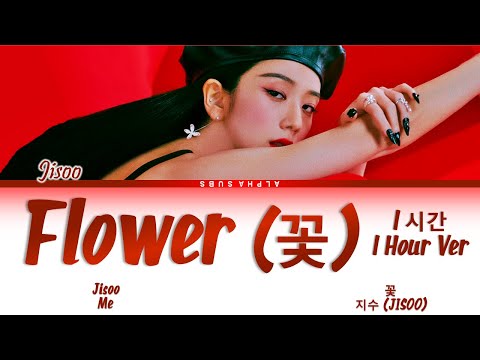 JISOO, JIAFEI – FLOWER (꽃) (Color Coded Han/Rom/Eng/Lyrics), Real-Time   Video View Count