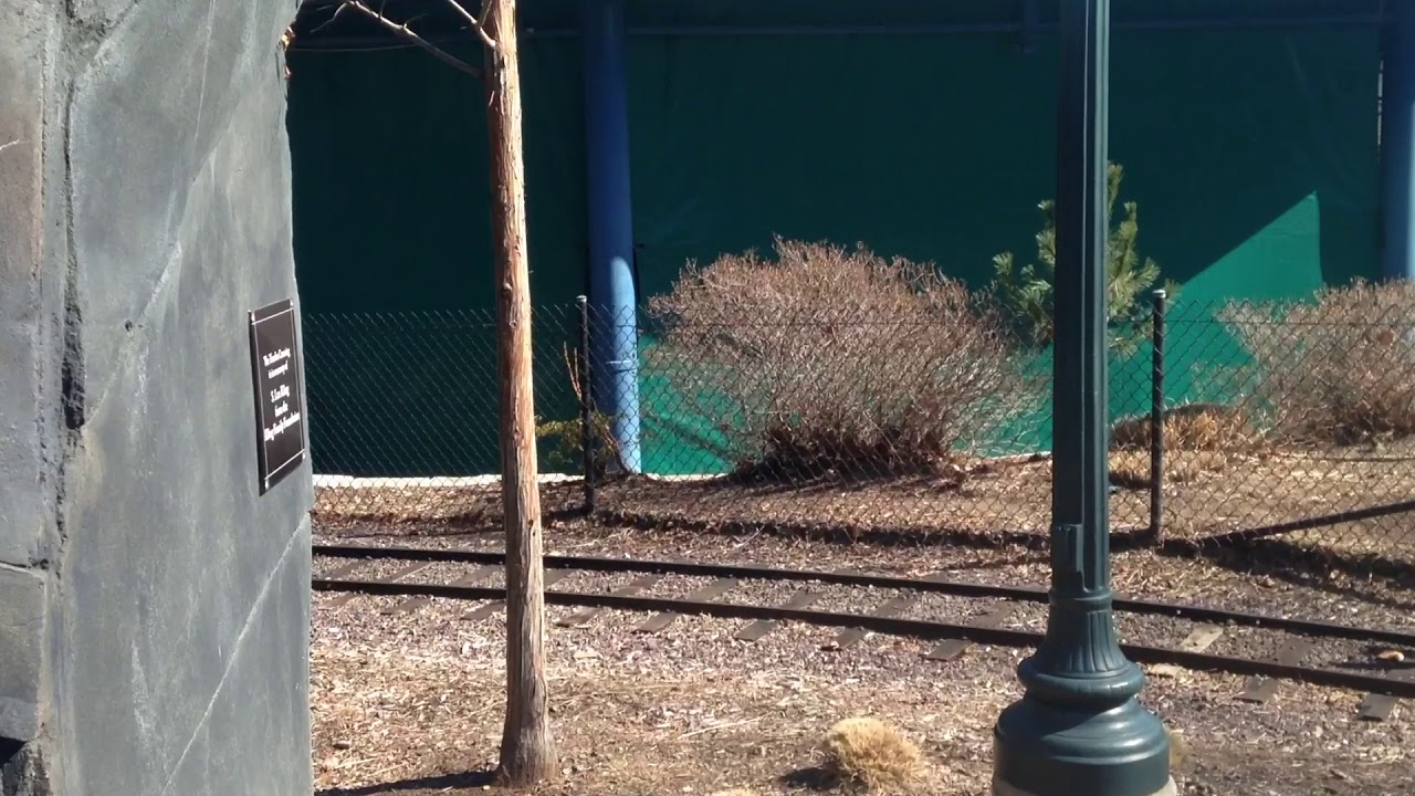 RAILROAD CROSSING ST. LOUIS ZOO 1 - YouTube