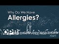 Why Do We Have Allergies?