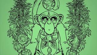 [ Drum And Bass Reggae 2020 ] LaChips : Monkey Meditation