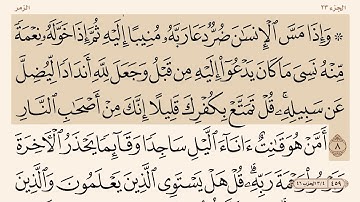 سورة ( الزمر ) من ٨-١٠